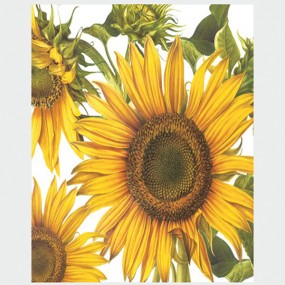 Serviettes de table Premium 20pcs 'Sunflower',