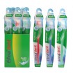 Toothbrush Elina Double Colour 12pcs in Display