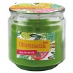 Kerze Citronella 250g grün in Glas 8,5x8,6cm