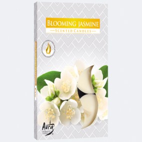 Tealight Scent 6s Jasmine Blossom in folded box